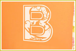 Floral Applique Monogram